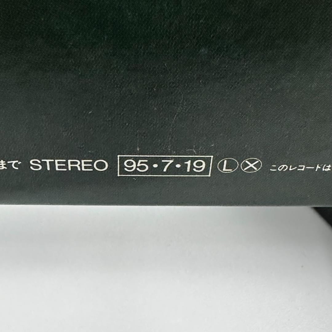 美品 スチャダラ 5th Wheel Wild Fancy レア 2枚セット