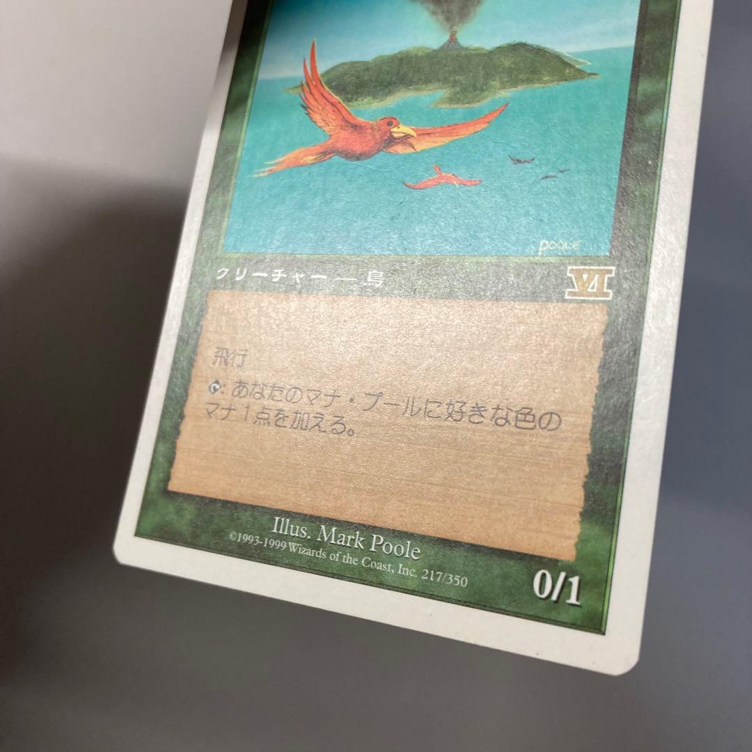 MTG 6版 極楽鳥 日本語 4枚セット