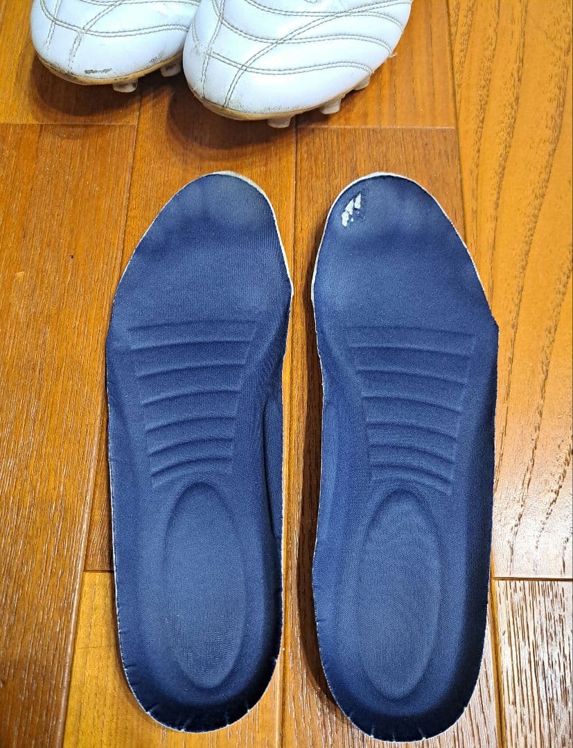 スパイク モナルシーダ ネオ2 SW 26.0