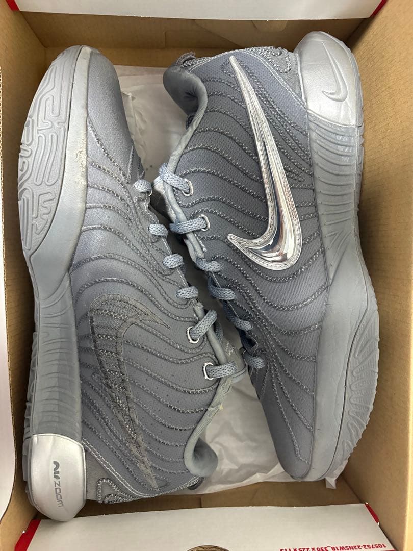 シューズ(男性用) Nike lebron 21 cool grey