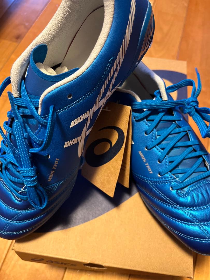 DS LIGHT X-FLY 5(25センチ)