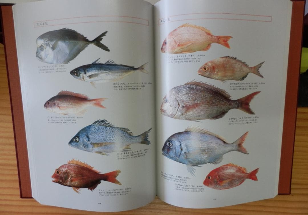 魚譜