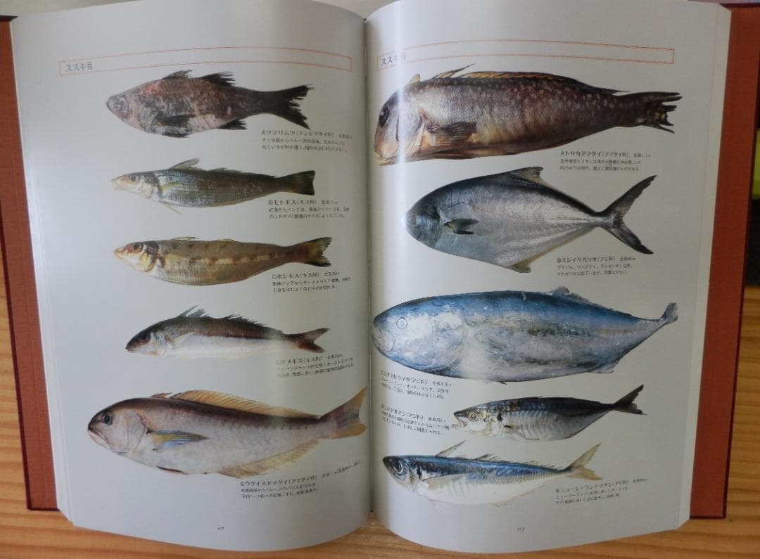 魚譜