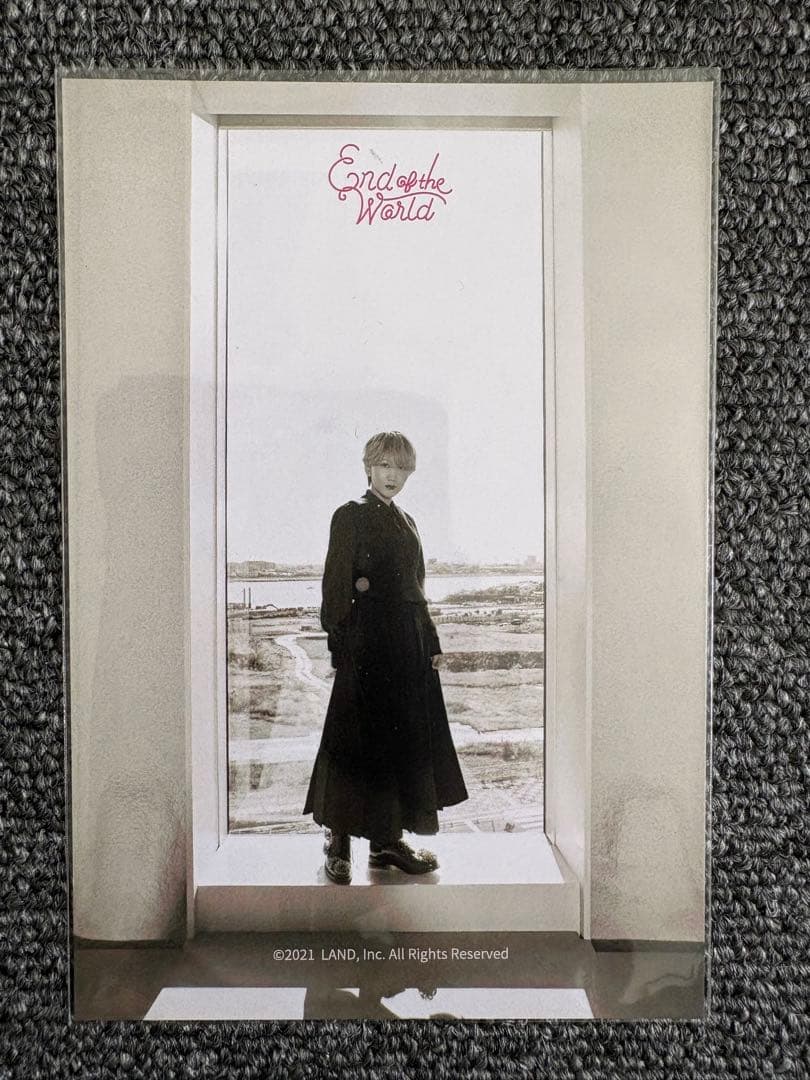 SEKAI NO OWARI 謎のDVD スノーマジックファンタジー　➕ お負け