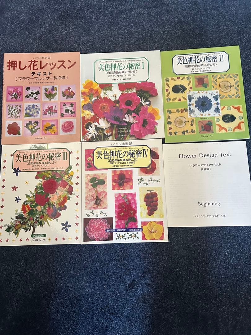 きんぎょさん専用