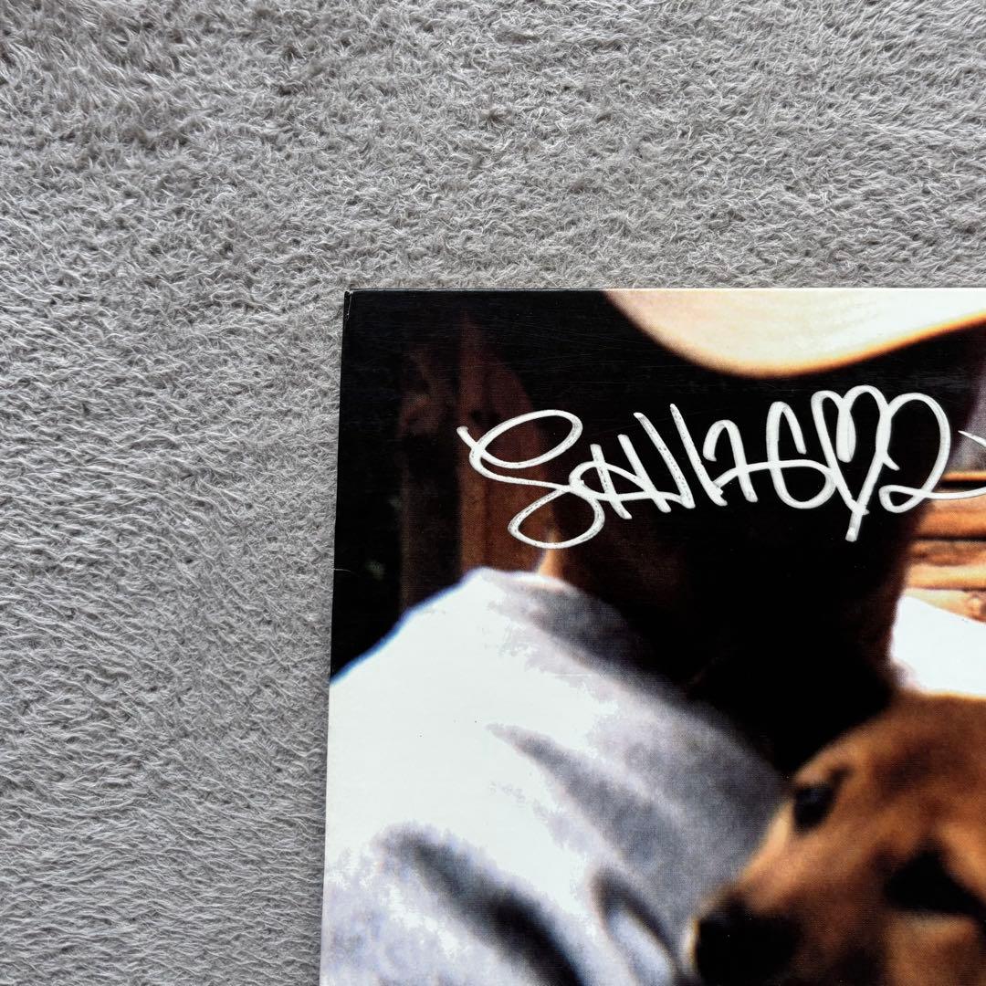 Luv(sic.) SHINGO2 NUJABES レコード1stプレス銀ラベル