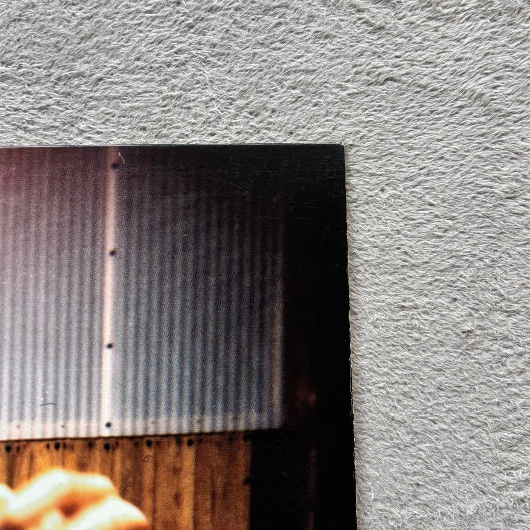 Luv(sic.) SHINGO2 NUJABES レコード1stプレス銀ラベル
