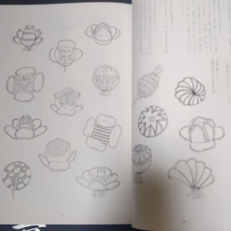 図解正本　むきもの教典　料理人必見!!