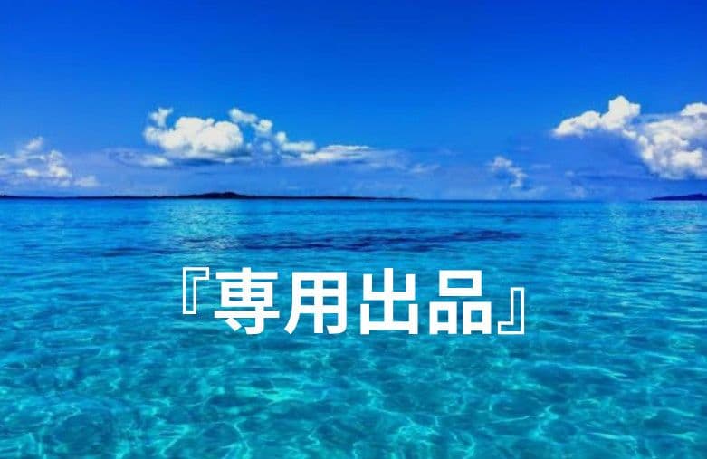 穂高様『専用出品』