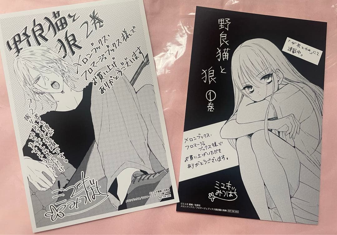 しろたん。