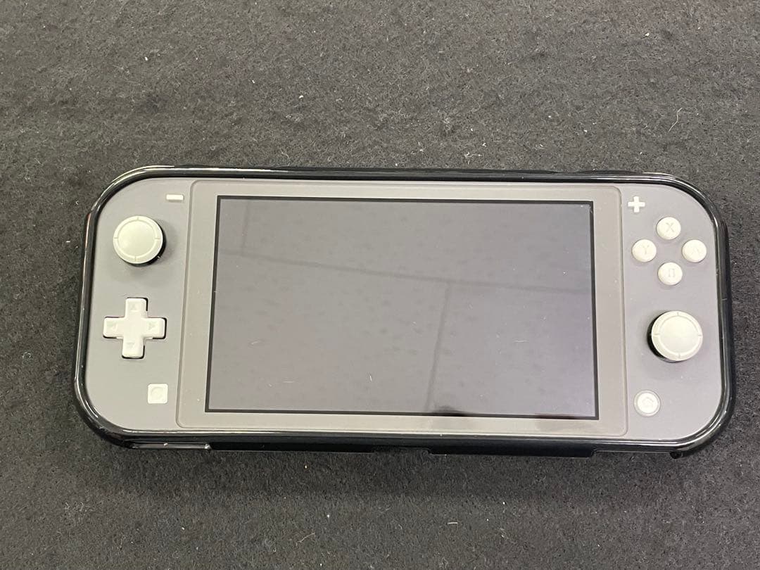 Nintendo Switch Lite 本体 ソフトカバー + ソフト付き