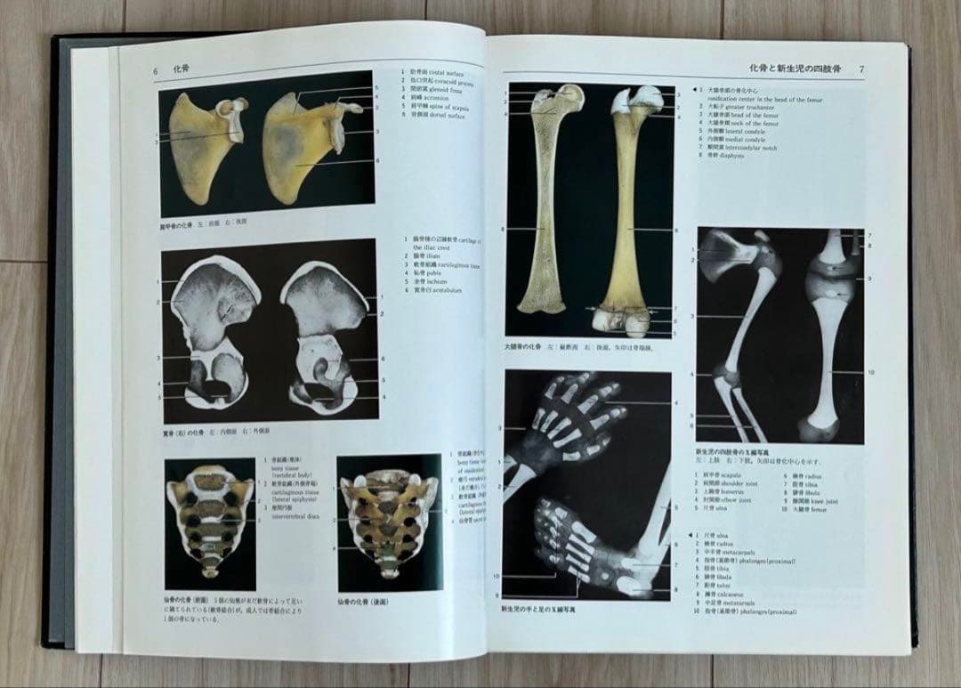 解剖学カラーアトラス　第2版　医学書　解剖学書