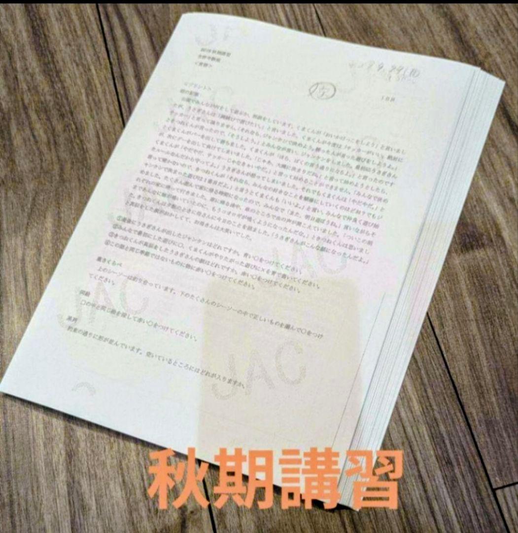 【希少・貴重】早稲田実業学校初等部　対策フルセット　ジャック