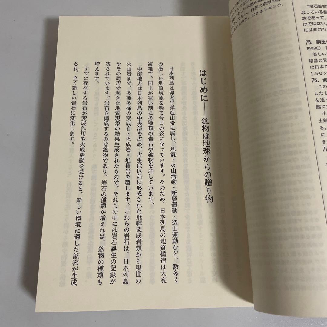 東海鉱物採集ガイドブック 名古屋鉱物同好会 伊藤剛 七賢出版