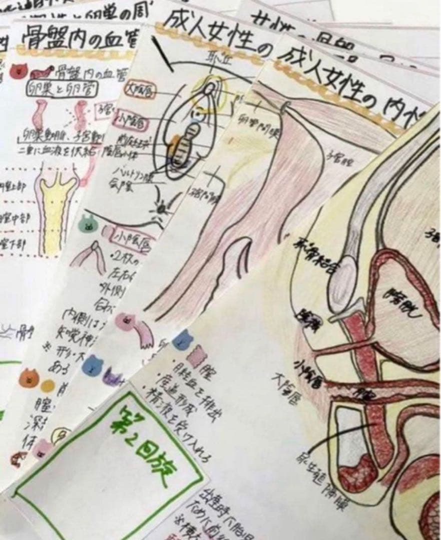 助産師　助産学生　看護師　看護学生　助産師国家試験対策　教材セット国家試験味方