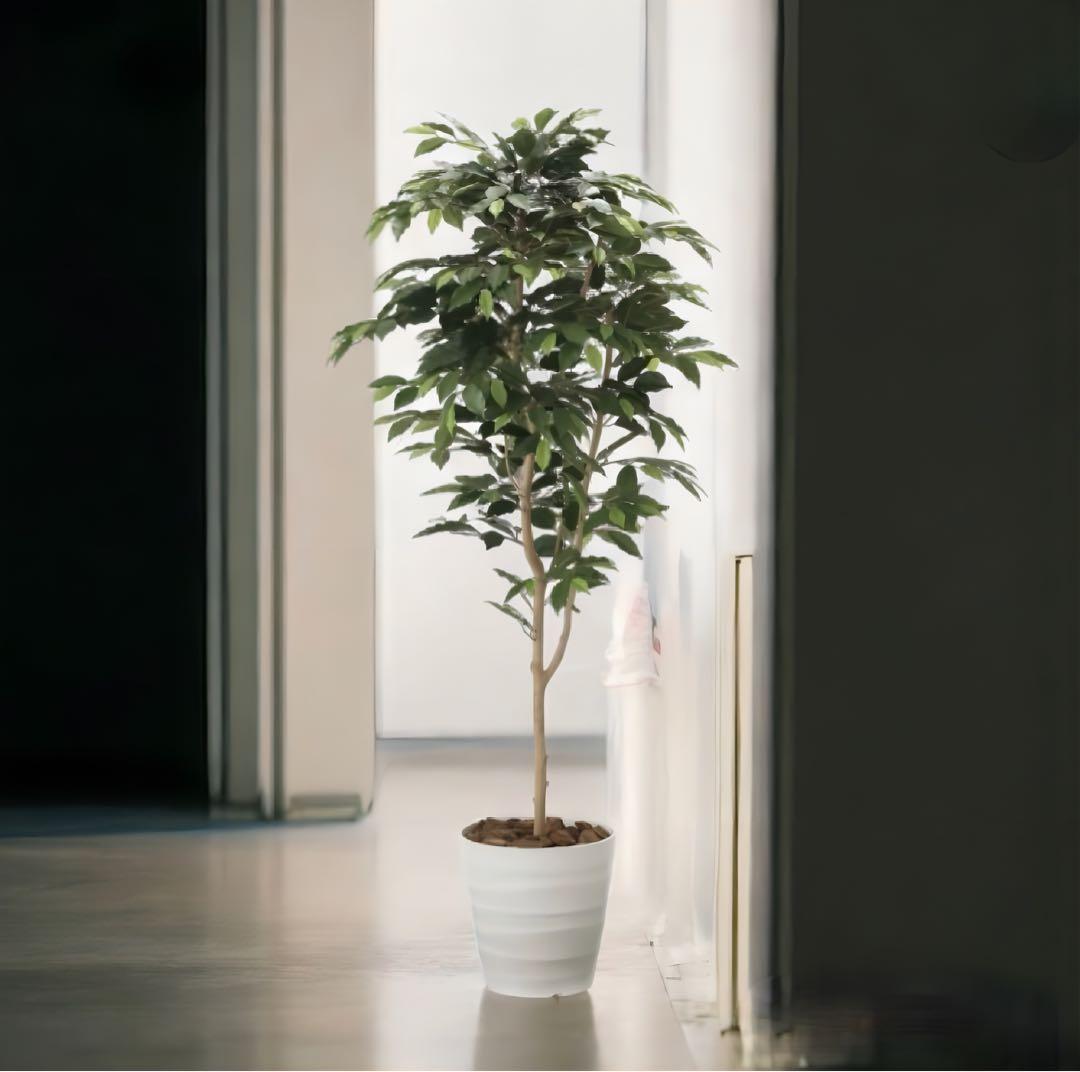 光触媒　人工観葉植物　フェイクグリーン　ベンジャミン 高さ 1.6m