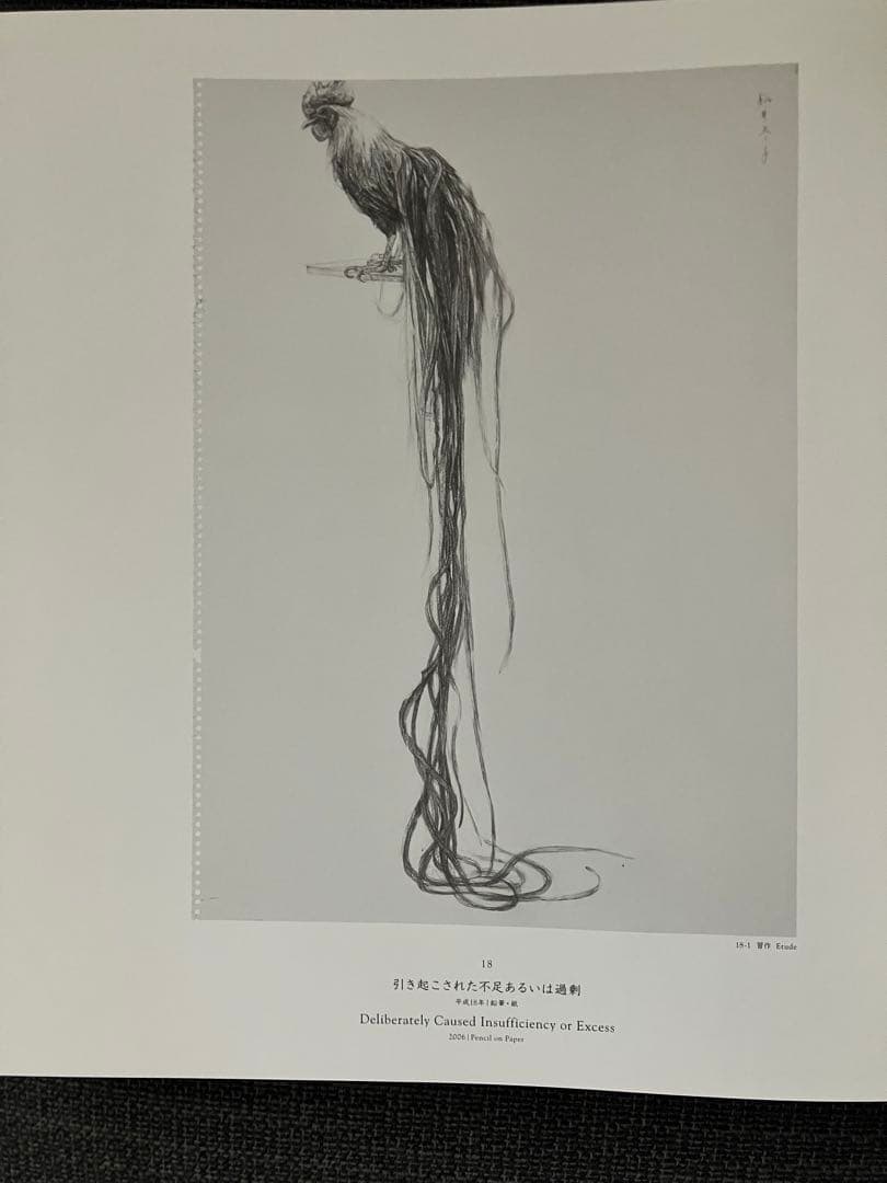 【絶版本】 松井冬子 画集 豪華特装版サイン入り MATSUI FUYUKO