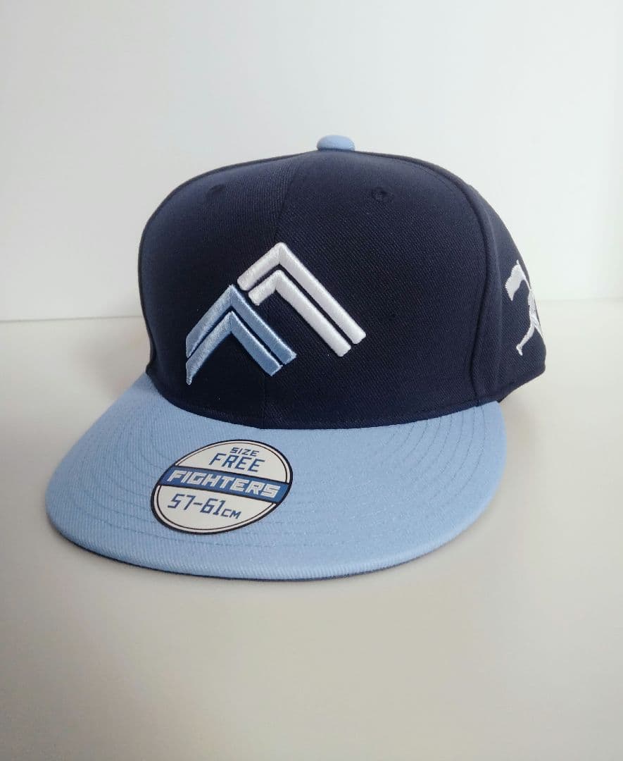 ＷＥ ＬＯＶ ＥＨＯＫＫＡＩＤＯ＆ＦＩＧＨＴＥＲＳ ２０２５　レプリカキャップ