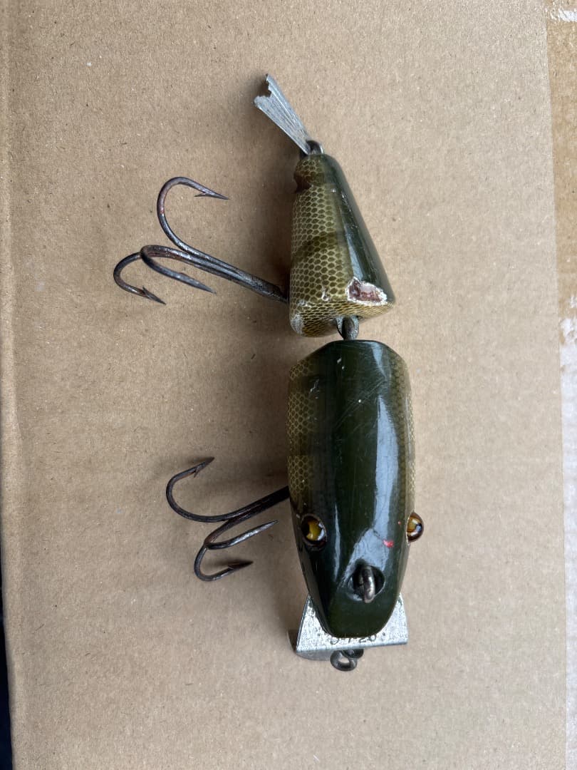 クリークチャブ　　ウィグルフィッシュ