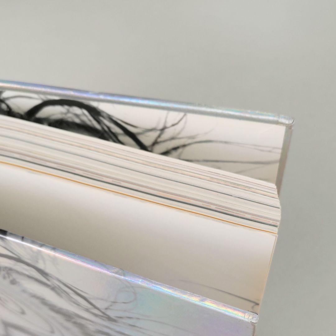 アート・デザイン・音楽 DREAMING IN PRINT A DECADE OF VISIONIRE
