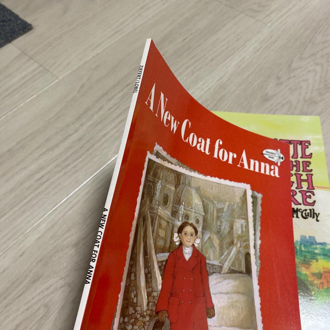 163 A New Coat for Anna 英語音声絵本