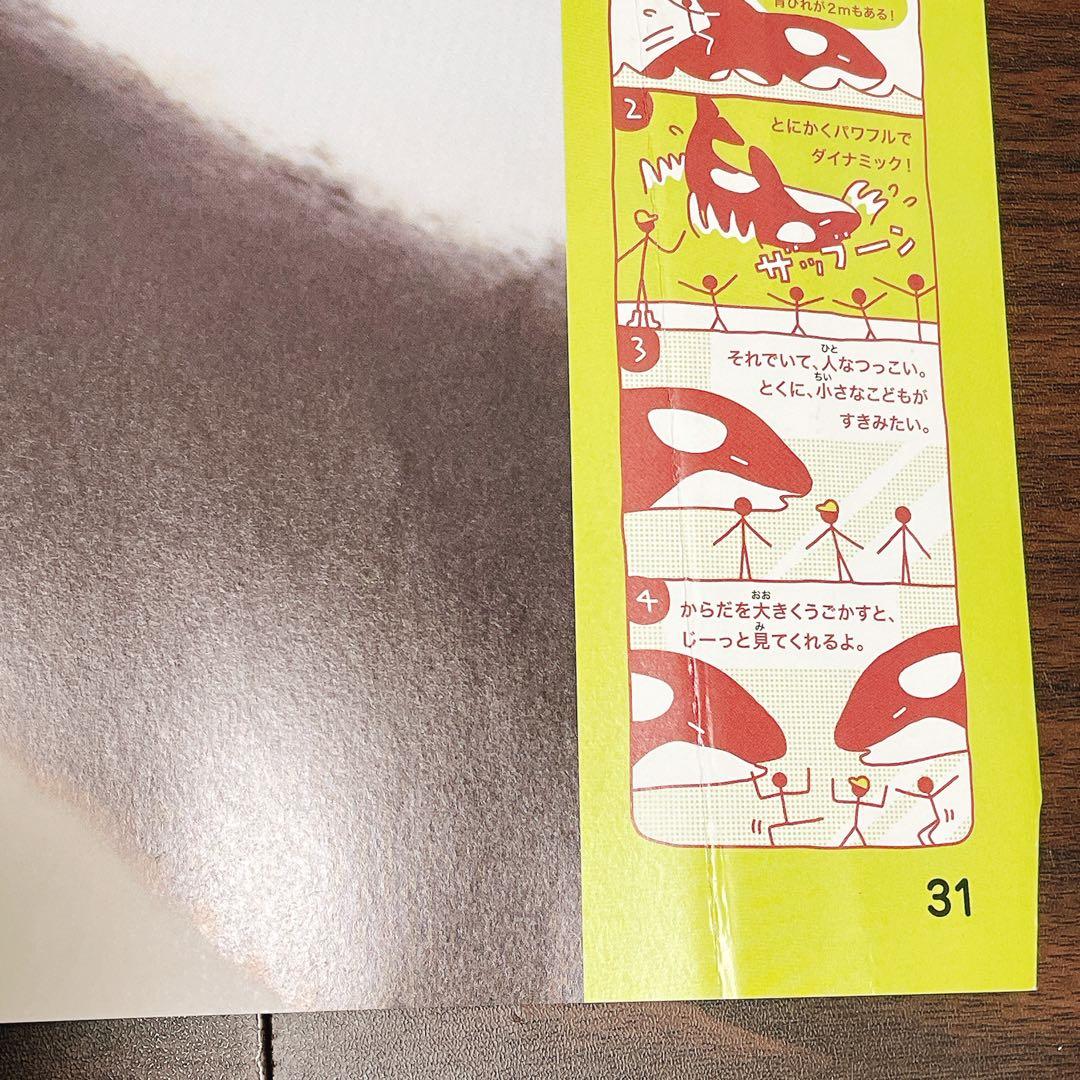 ほんとのおおきさ動物園、水族館、恐竜博　3冊セット