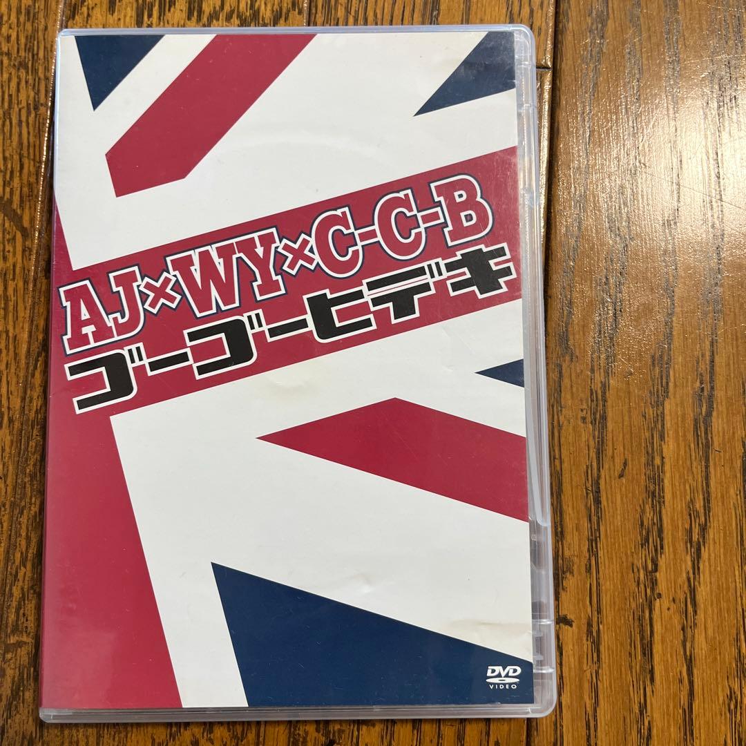 ★再値下げ★ ゴーゴーヒデキ　DVD 写真　トートバッグ