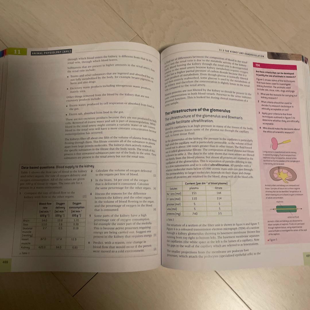 IBDP BIOLOGY 生物テキストブック Oxford