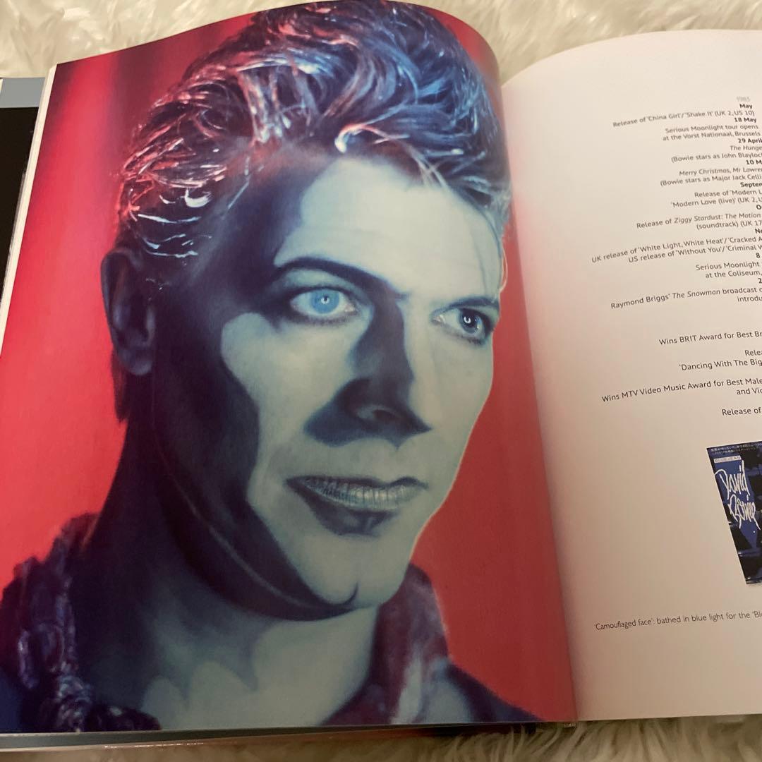 希少　DAVID BOWIE ALBUM BY ALBUM アートブック　洋書