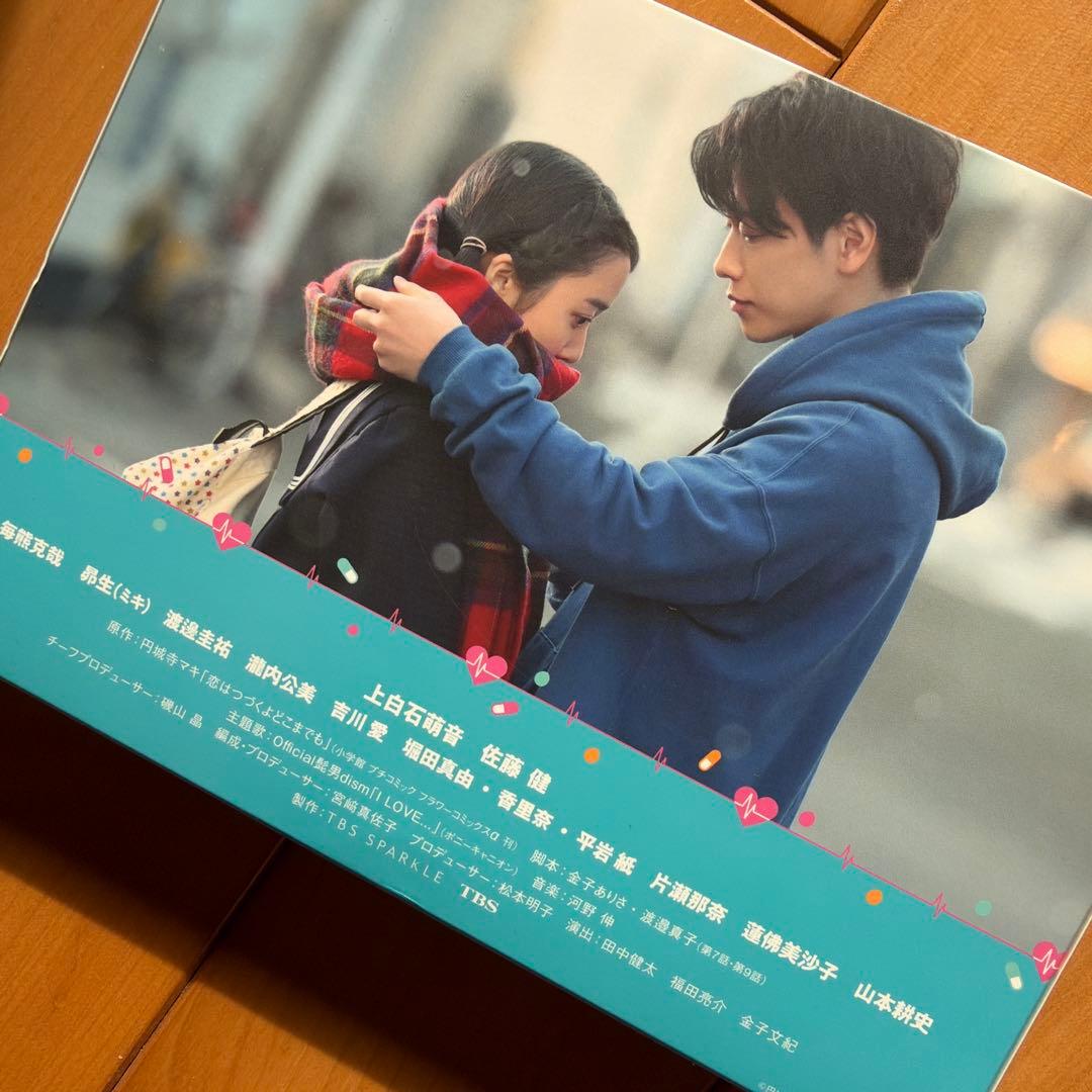 恋はつづくよどこまでも DVD