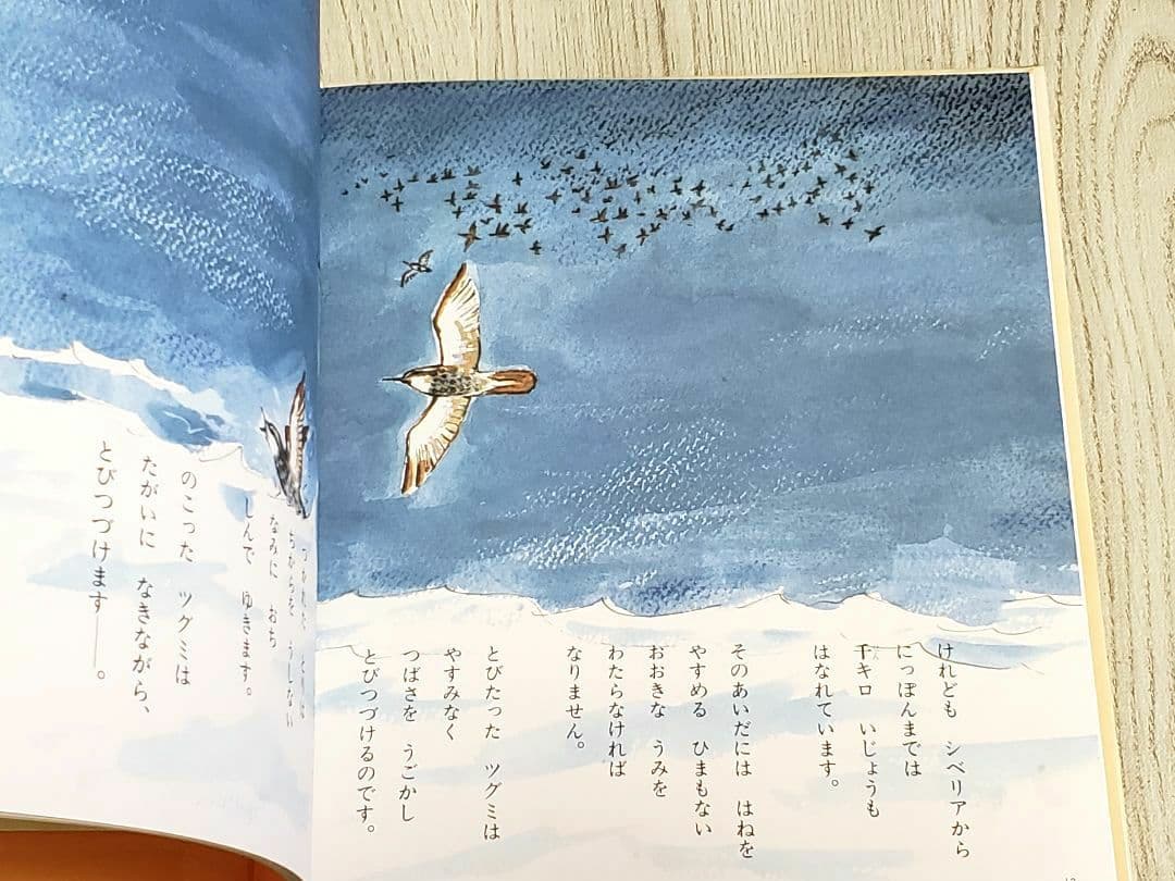 つかまえられたことりちゃん かこさとし 絵本