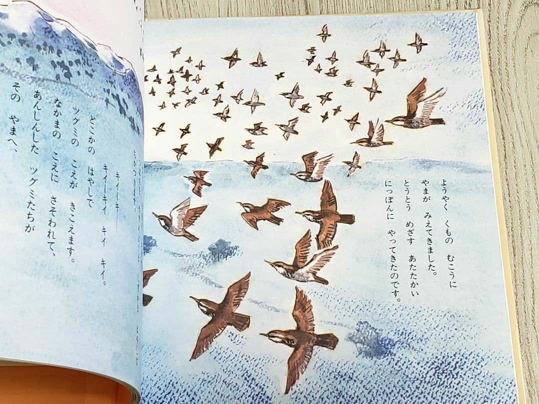 つかまえられたことりちゃん かこさとし 絵本