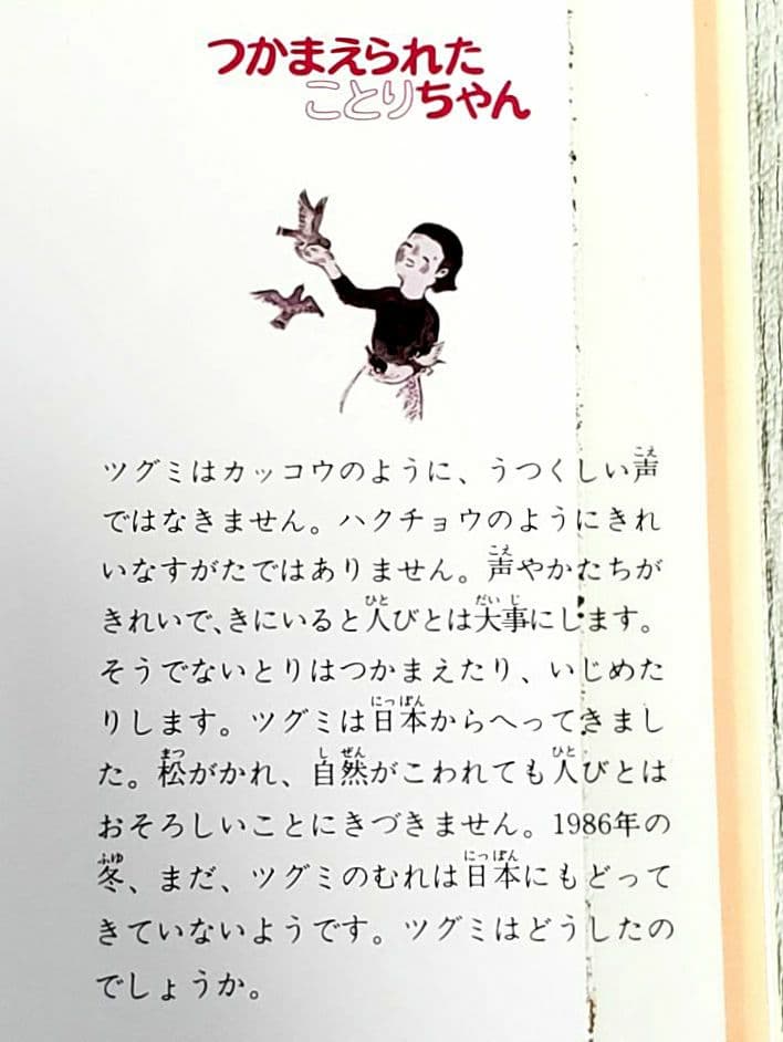 つかまえられたことりちゃん かこさとし 絵本