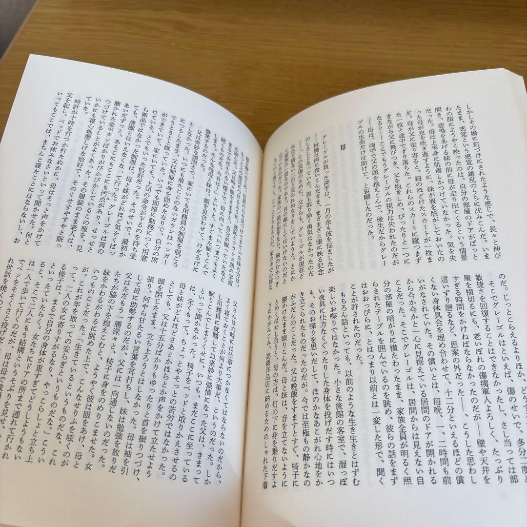 【帯、付録の冊子付き】決定版　カフカ全集