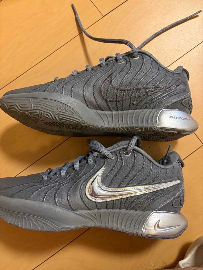Nike Lebron 21 cool grey レブロン 21 クールグレー