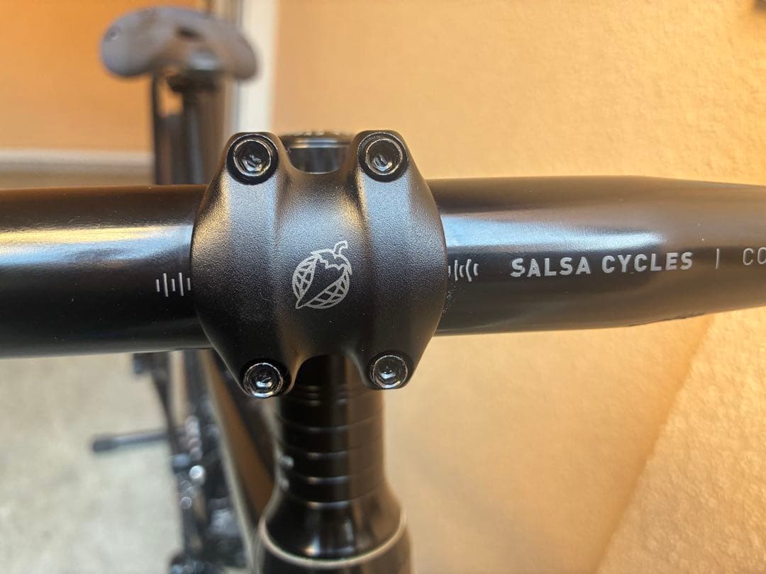 Salsa Journeyer サイズ51 フレームセット