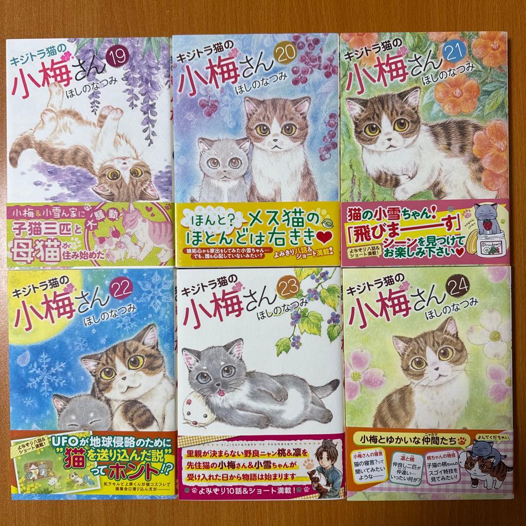 キジトラ猫の小梅さん　1-24巻　ねこじぞう　しーちゃんのそれから　計26冊