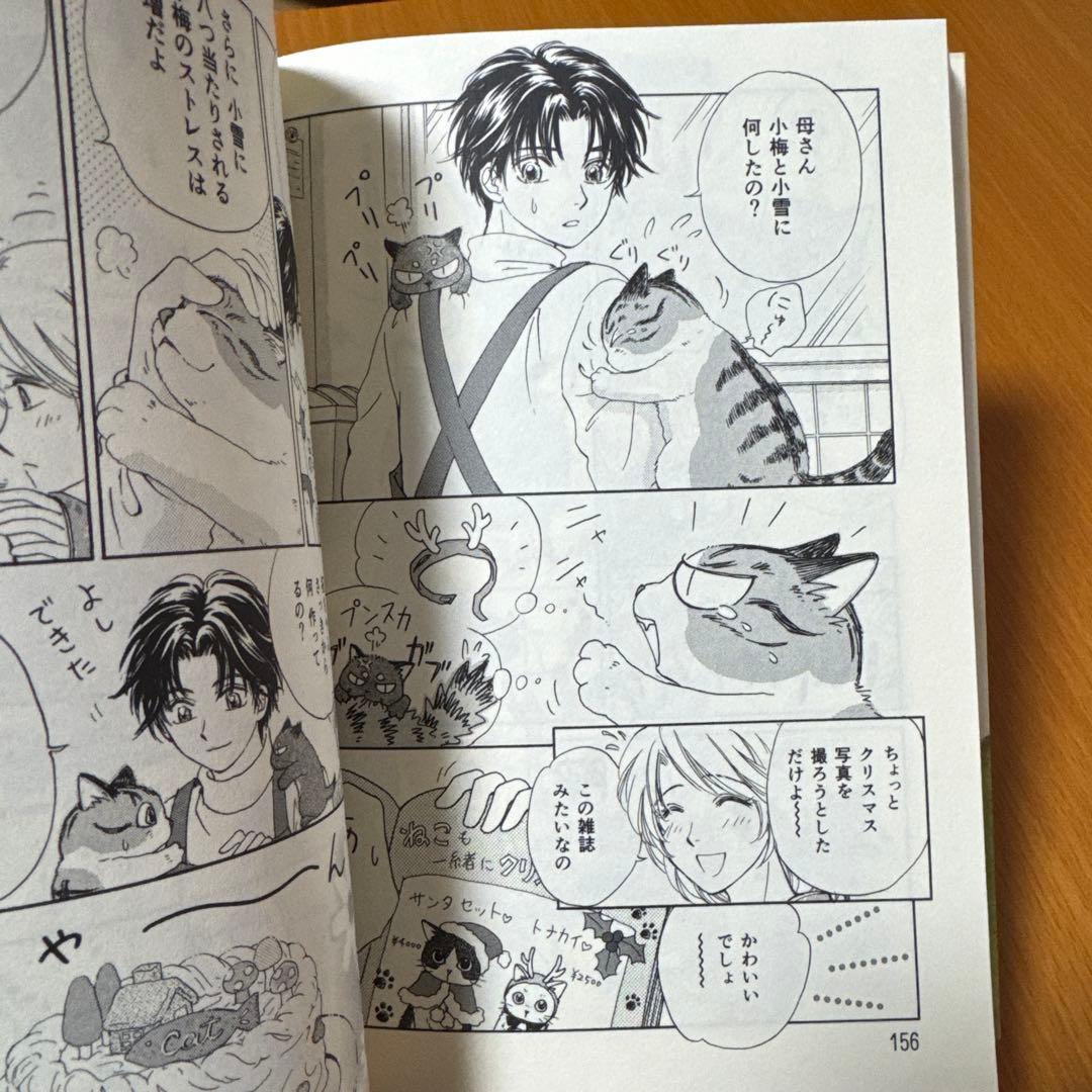 キジトラ猫の小梅さん　1-24巻　ねこじぞう　しーちゃんのそれから　計26冊