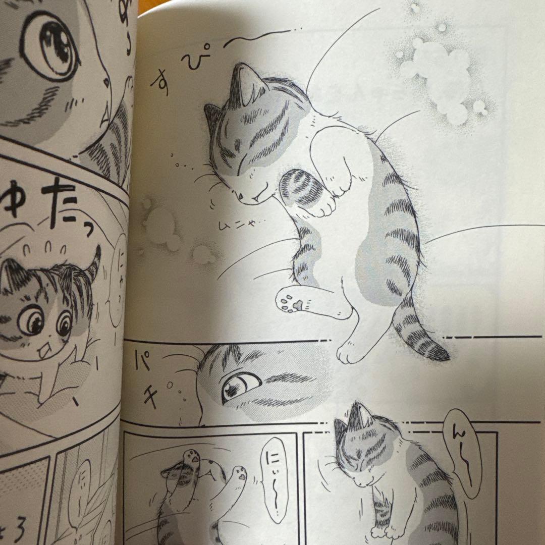 キジトラ猫の小梅さん　1-24巻　ねこじぞう　しーちゃんのそれから　計26冊