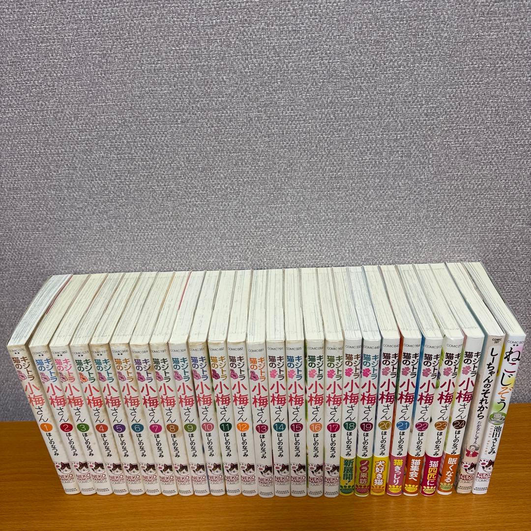 キジトラ猫の小梅さん　1-24巻　ねこじぞう　しーちゃんのそれから　計26冊