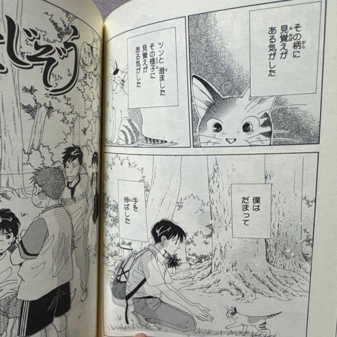 キジトラ猫の小梅さん　1-24巻　ねこじぞう　しーちゃんのそれから　計26冊