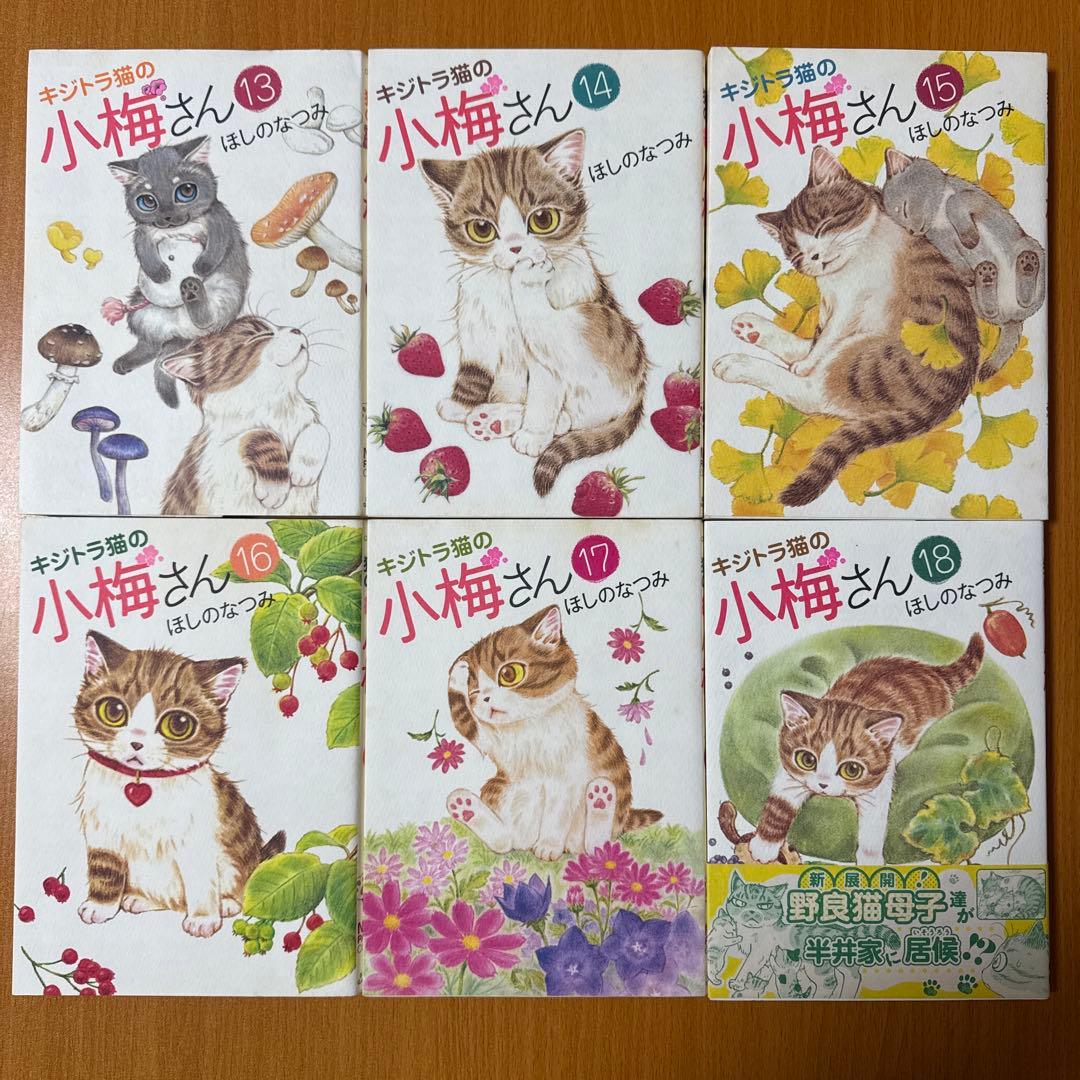 キジトラ猫の小梅さん　1-24巻　ねこじぞう　しーちゃんのそれから　計26冊