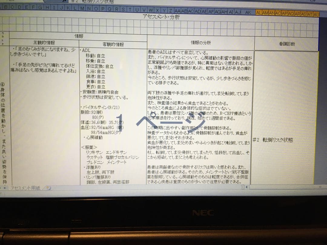 専用 看護実習 看護学生 手順書 関連図 計画 アセスメント
