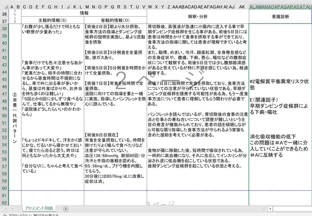 専用 看護実習 看護学生 手順書 関連図 計画 アセスメント