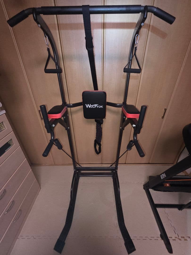 【信長】Wolfyok ぶら下がり健康器 懸垂マシン180kg【手渡し】