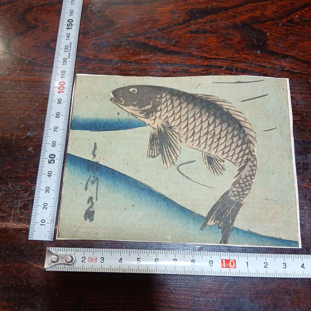 浮世絵 　江戸時代　木版画 　歌川広重　 魚づくし　鯉