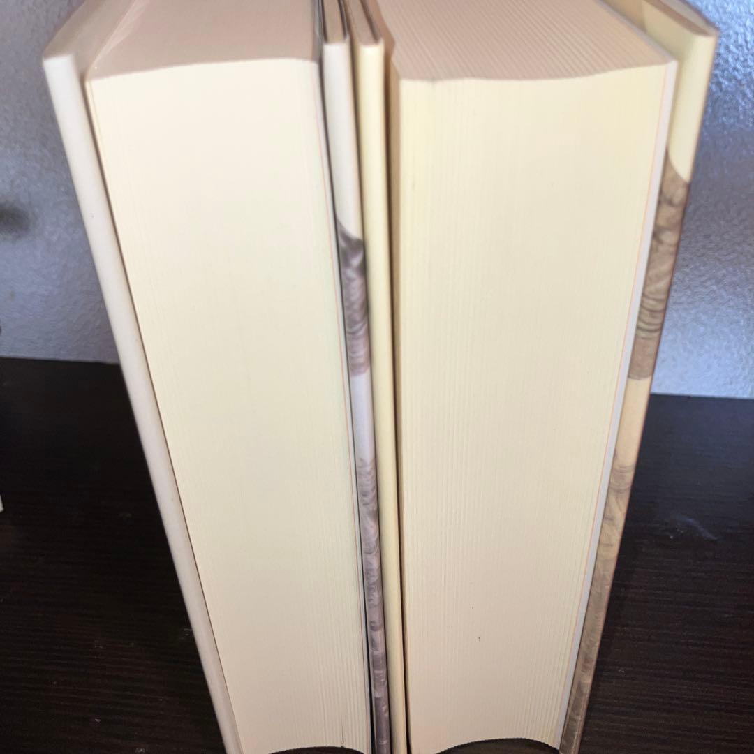 シュトゥルム ウント ドランク : 疾風怒涛 2冊
