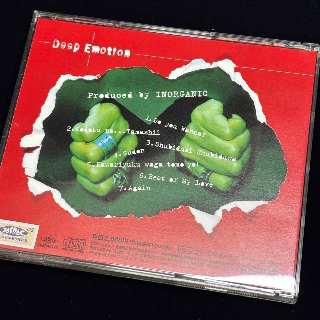 成田昭次 INORGANIC CD Deep Emotion アルバム【6-6】