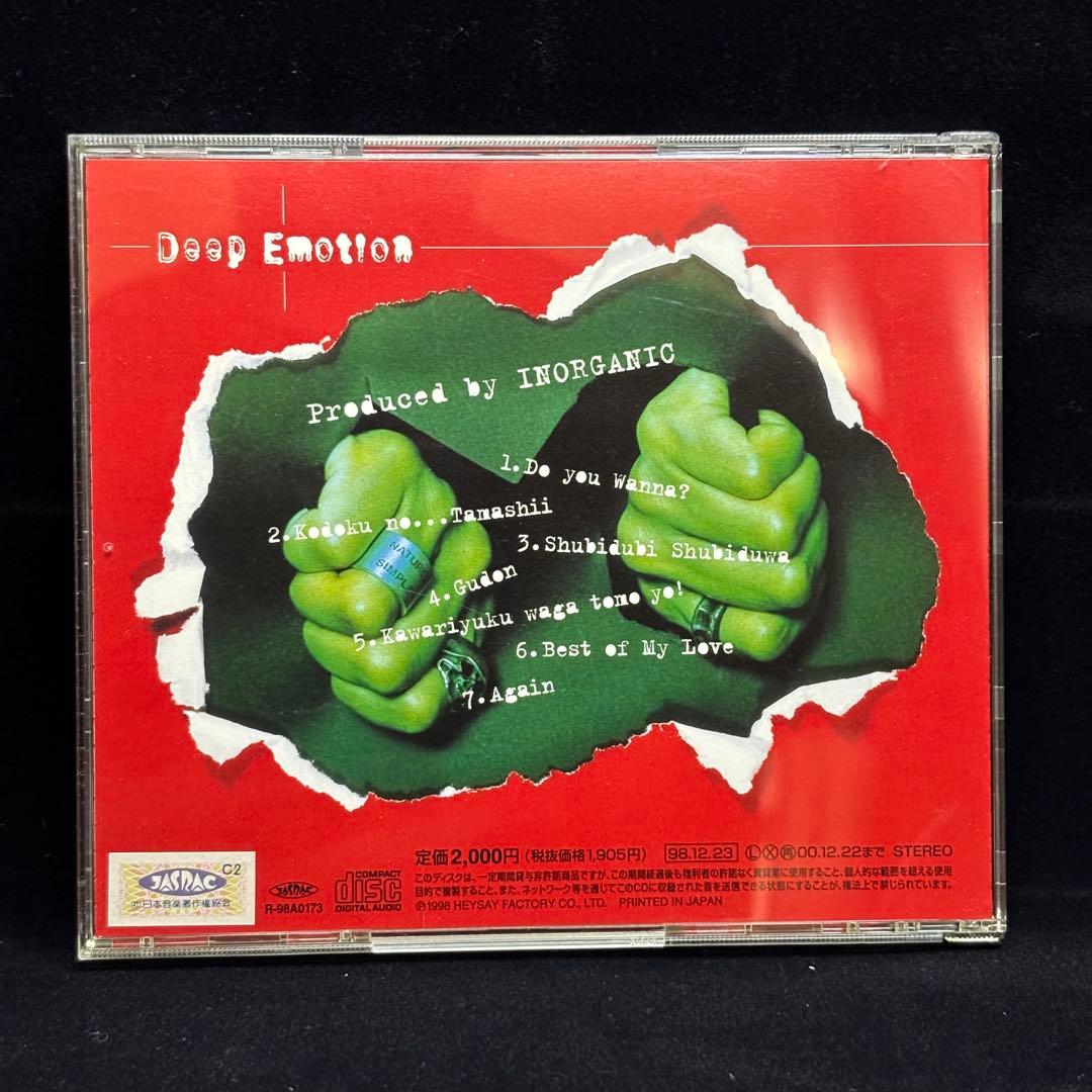 成田昭次 INORGANIC CD Deep Emotion アルバム【6-6】
