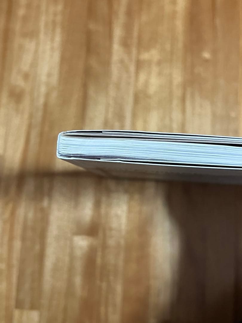 2G No.50 Sou Fujimoto 藤本壮介　建築　雑誌